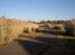 PICT0167